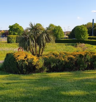 Beaullieu Park Dog Park photo 1